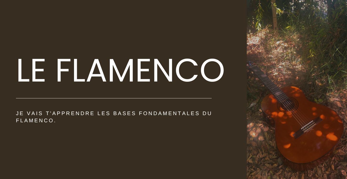 LE FLAMENCO - Formation Débutant