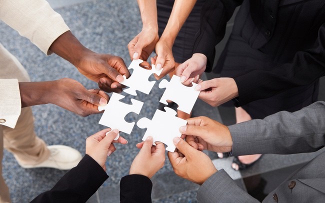 Bạn đang tìm kiếm kết nối với những thành viên TNR có chuyên môn/kinh nghiệm trong lĩnh vực nào?