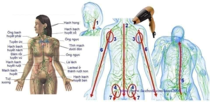 Chữa bệnh bằng Máy sấy tóc bạn đã nghe bao giờ chưa?