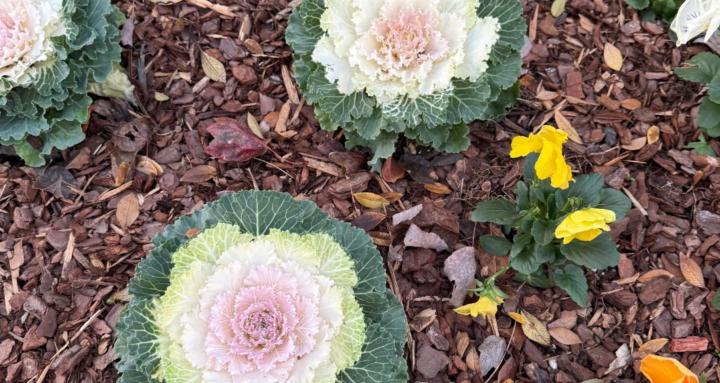 Love YOU to life Ministry