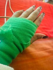 Abygel Segger