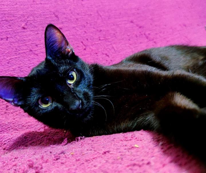 Diego Cruz Fernández