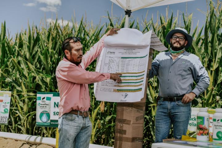 Jose luis Vargas chavoya