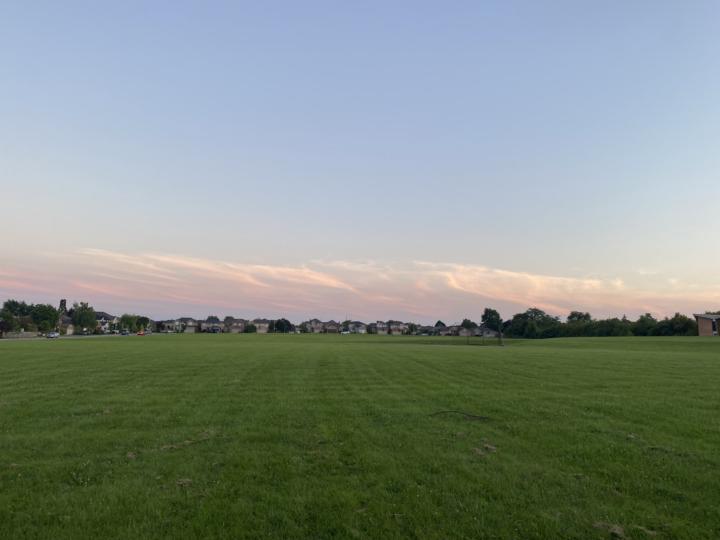 day #349