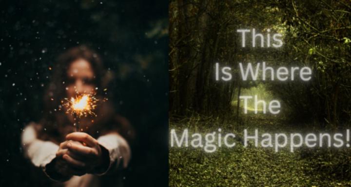 🌙 ALLEY CAT’S HOLLOW ACADEMY