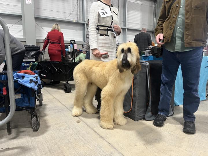 WHO WOULD LIKE A FREE LIVE TOMORROW