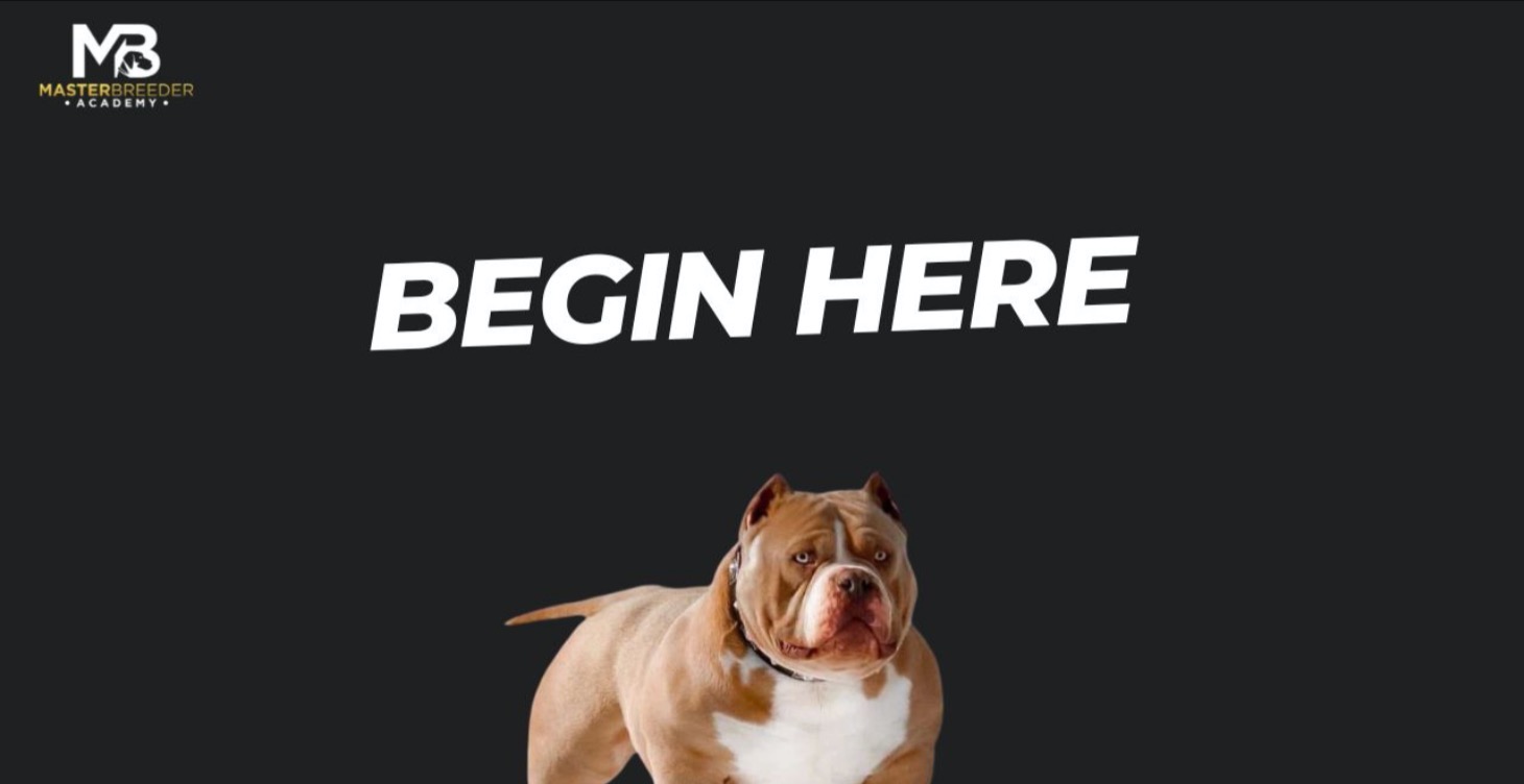 Begin your journey here :)