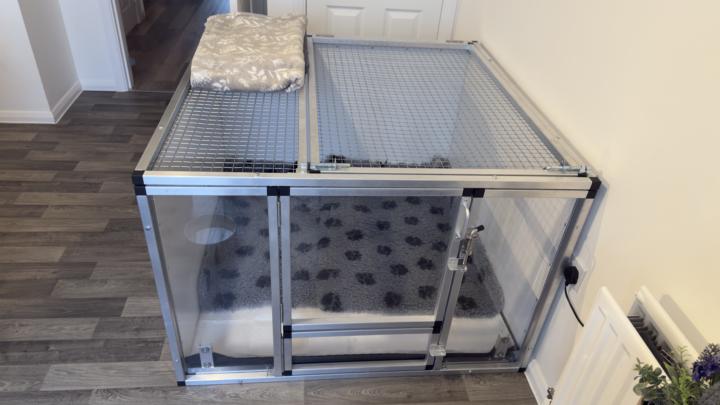 Whelping and puppy care