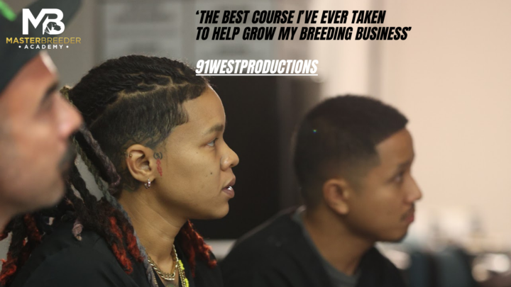 Always room to improve