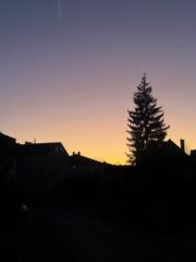 Coralie De laurentiis