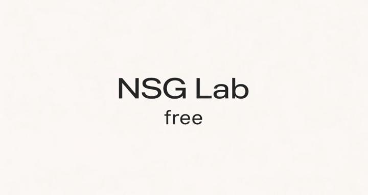 Nsg Lab FREE