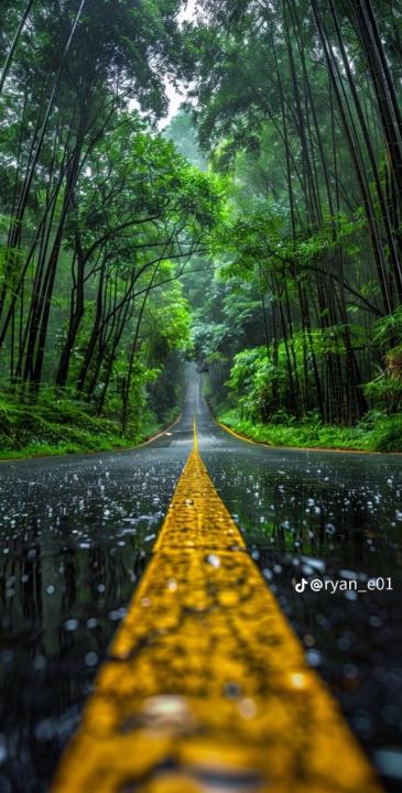 Wulff-fils Jean Charles