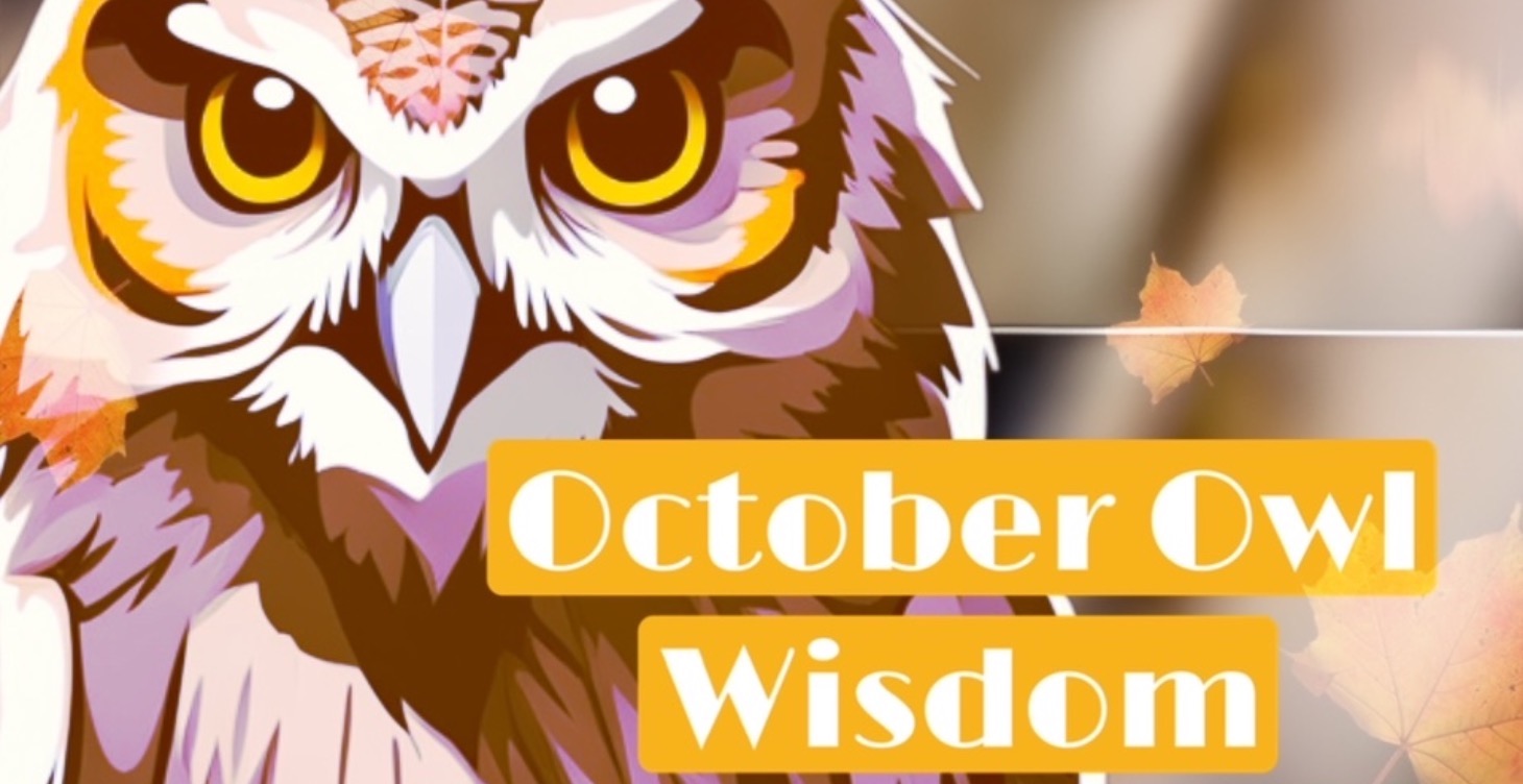 October Owl Wisdom