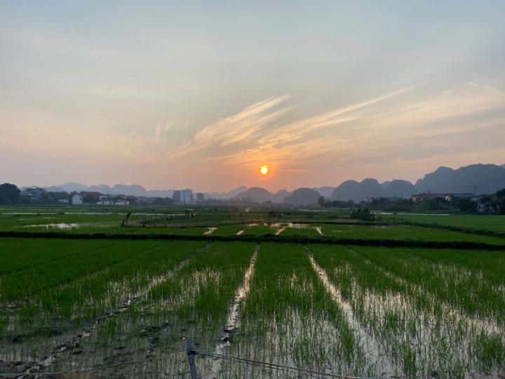 Lương Tuấn Cường