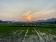 Lương Tuấn Cường