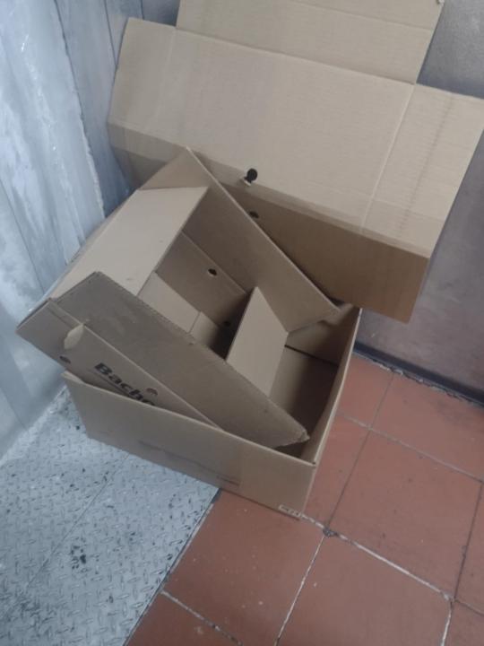 Gerardo Domínguez Pacheco