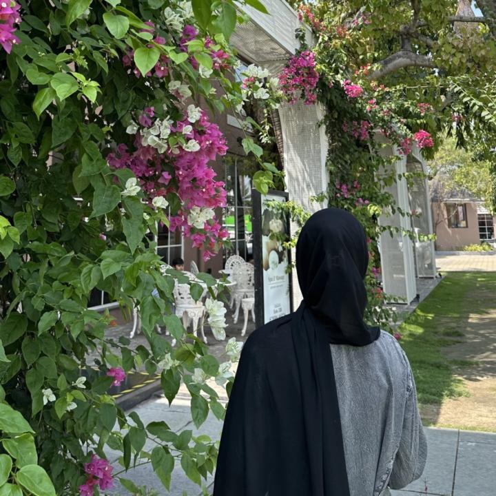 Areej Vohra