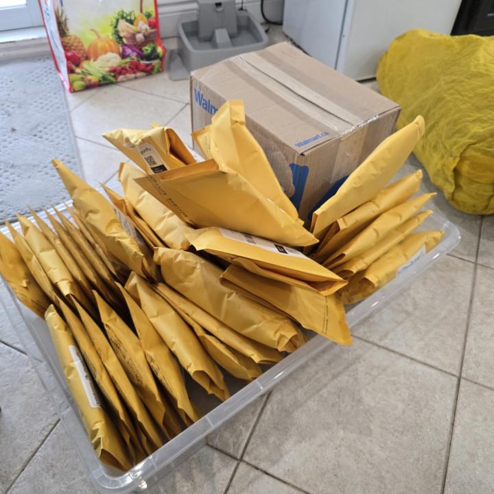 Fbm is alive and well!