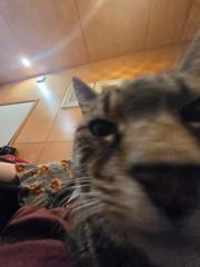 Leina Tucker-Masters