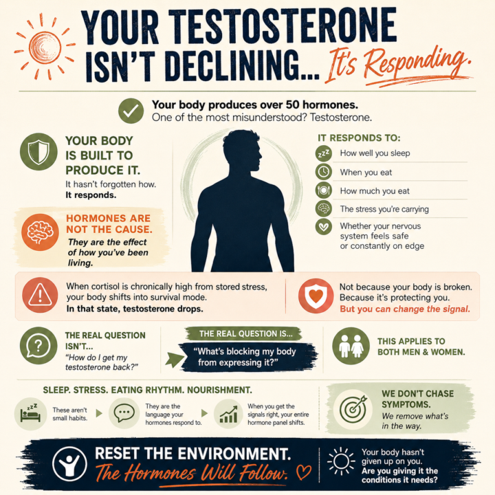 Your Testosterone Isn’t Declining… It’s Responding