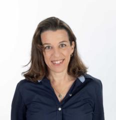 רונלי פארן רותם