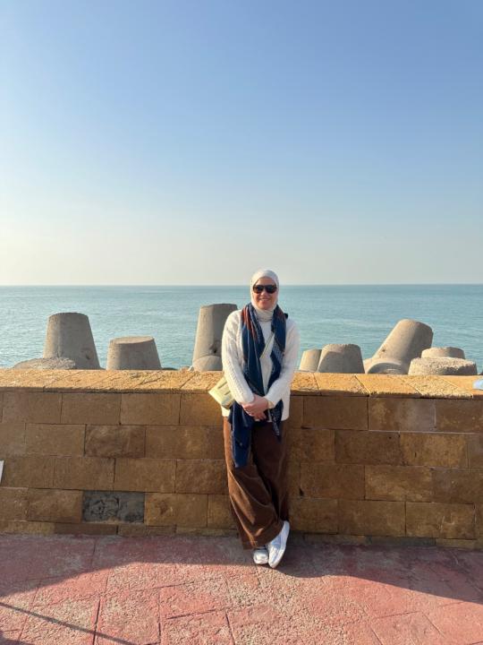 Sara Elsharawidy