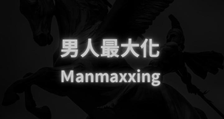 男人最大化 | ManMaxxing
