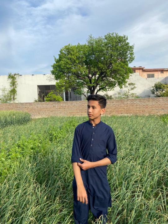 Muhammad Udain
