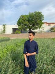 Muhammad Udain