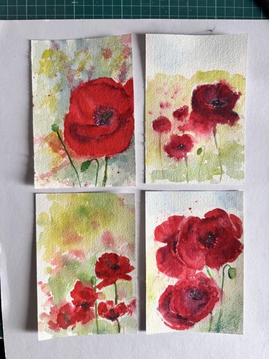Poppies in watercolour