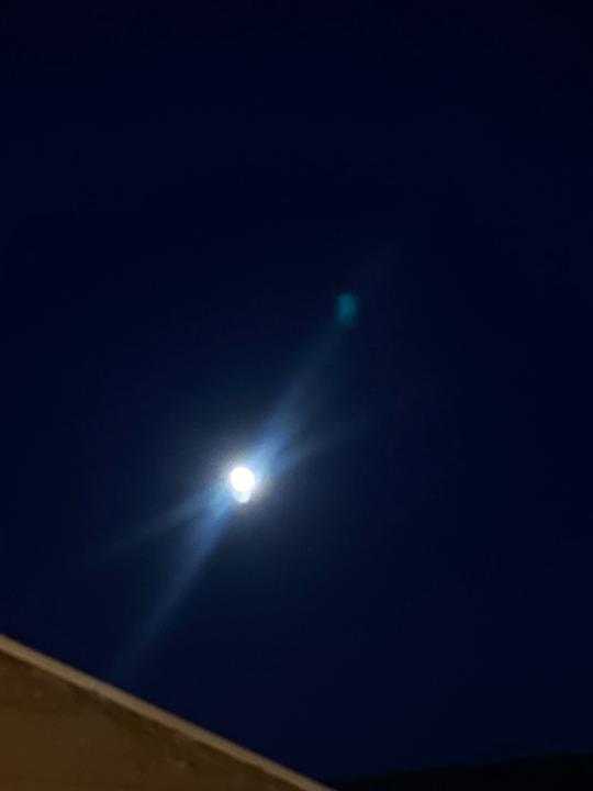 Sebahat Hüseyinoğlu