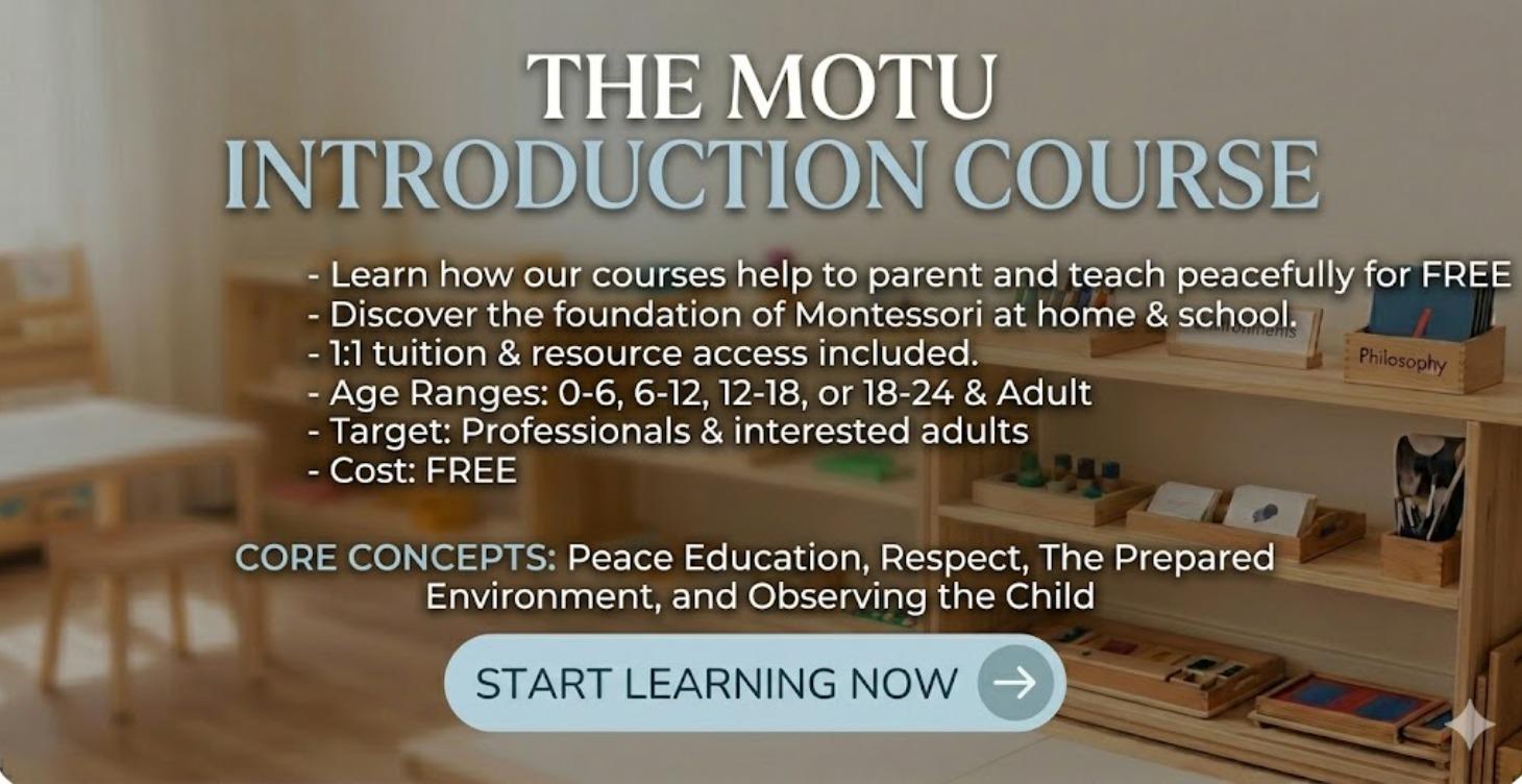 The Motu Introduction Course