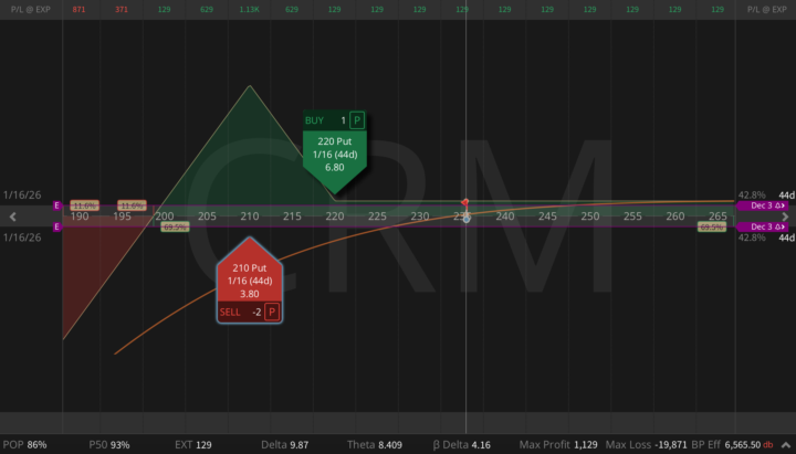 CRM Earnings Put Ratio Into Agentforce Test