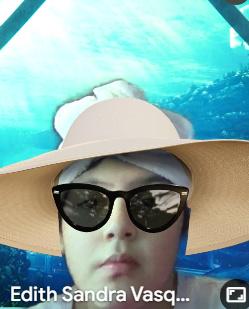 Stefany Milagros Terreros