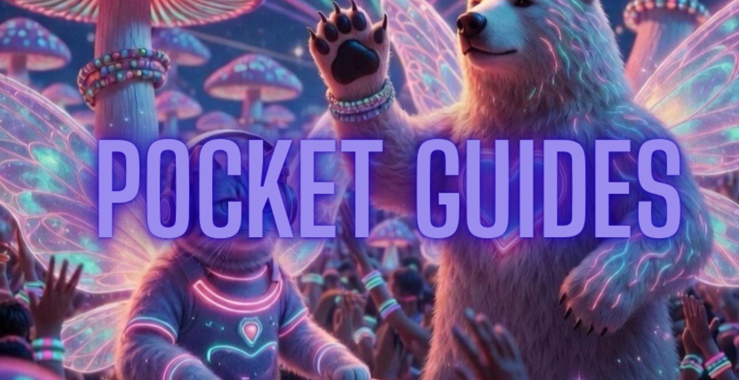 POCKET GUIDES