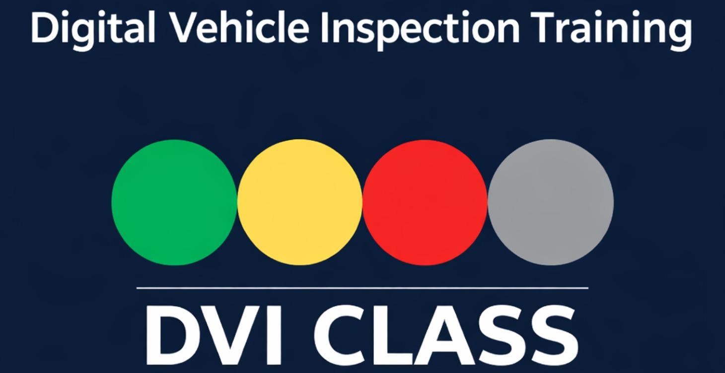 DVI Standard (Tech/GS)