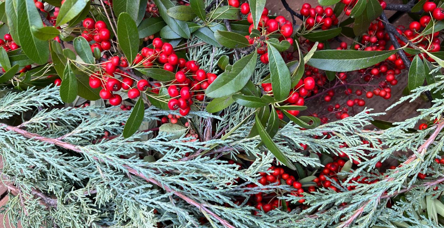 Make Your Own Wreath