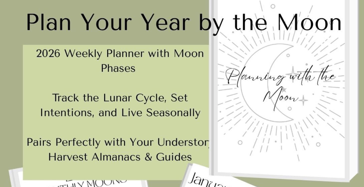 Planning with the Moon