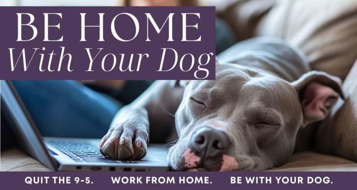 Be Home with Your Dog
