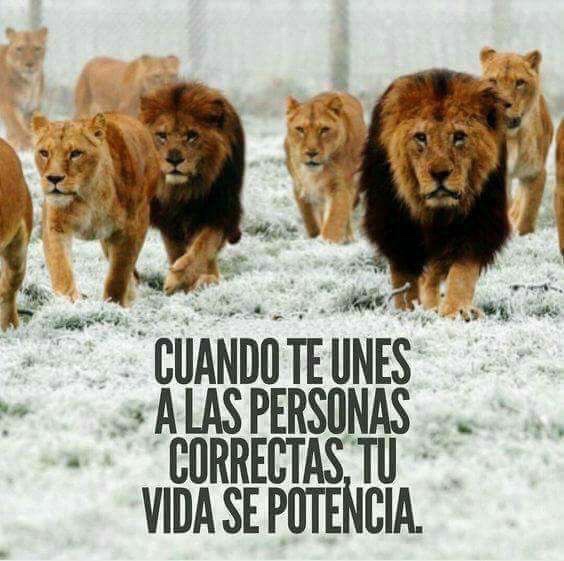 Omar Leon