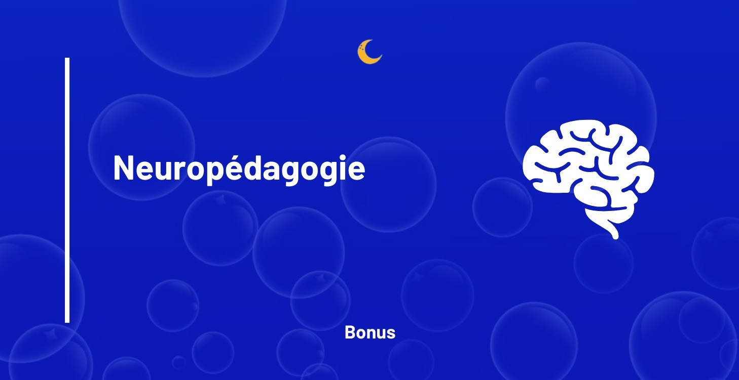🧠 Neuro-pédagogie et neuro conception