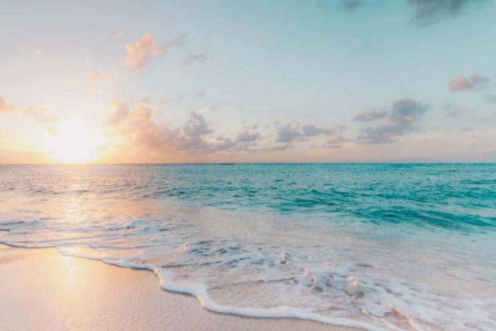 Dr. Brown and Jack Waves of Wellness