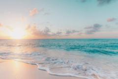 Dr. Brown and Jack Waves of Wellness