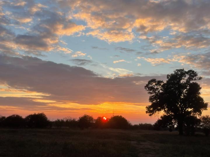 Botyánszki Hajnalka
