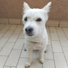 Miguel Ángel Benmamán