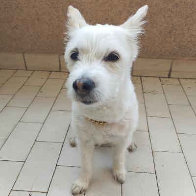 Miguel Ángel Benmamán