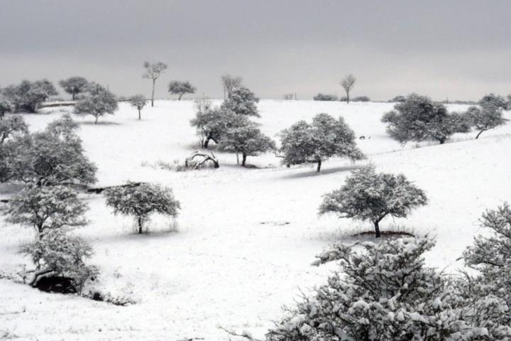 Juan Andres Cintas Ramos