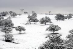 Juan Andres Cintas Ramos