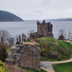 Comanche Edimbourg