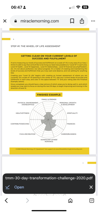Wheel of Life- let’s create a Level 10 Life! 💪🥰🎉🚀